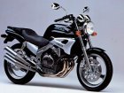 1991 Yamaha FZX 250 Zeal